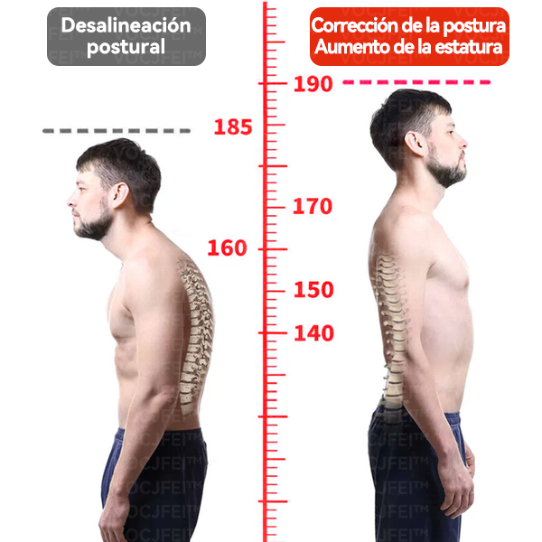 IONFITPRO™ 𝐐𝐮𝐞𝐦𝐚𝐠𝐫𝐚𝐬𝐚𝐬 𝐅𝐢𝐛𝐫𝐚 𝐃𝐞 𝐓𝐢𝐭𝐚𝐧𝐢𝐨 𝐀𝐮𝐭𝐨𝐜𝐚𝐥𝐞𝐧𝐭𝐚𝐛𝐥𝐞 𝐓𝐮𝐫𝐦𝐚𝐥𝐢𝐧𝐚 𝐌𝐨𝐝𝐞𝐥𝐚𝐝𝐨𝐫𝐚 𝐂𝐚𝐦𝐢𝐬𝐞𝐭𝐚 𝐈𝐧𝐭𝐞𝐫𝐢𝐨𝐫💥