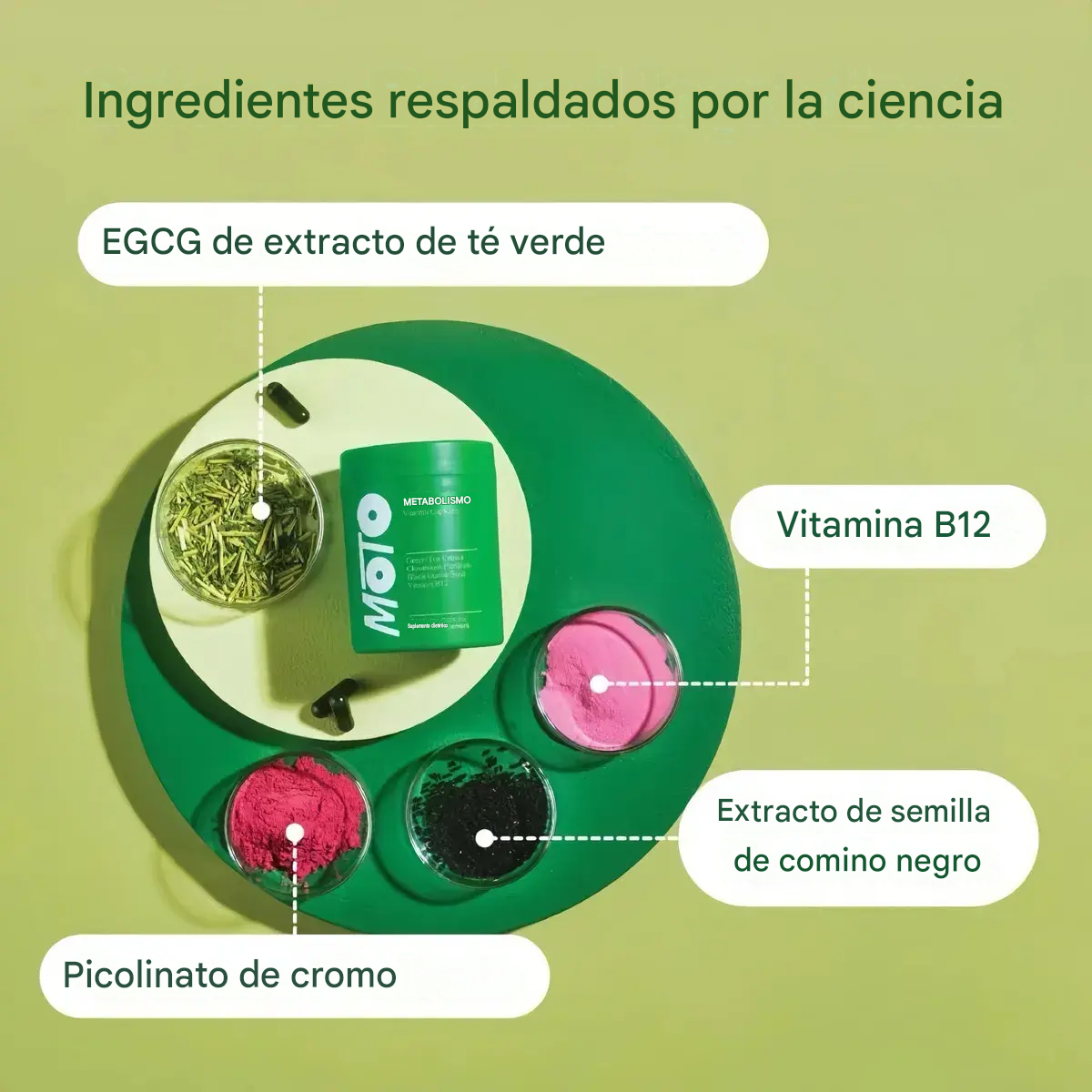 O Positiv MOTO Metabolismo