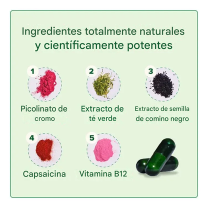 O Positiv MOTO Metabolismo