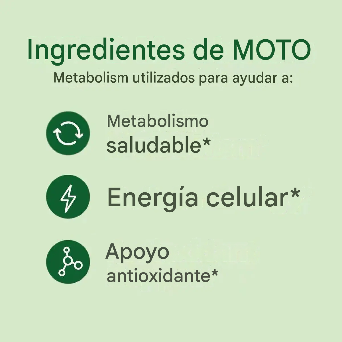 O Positiv MOTO Metabolismo