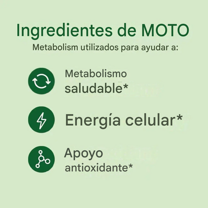O Positiv MOTO Metabolismo