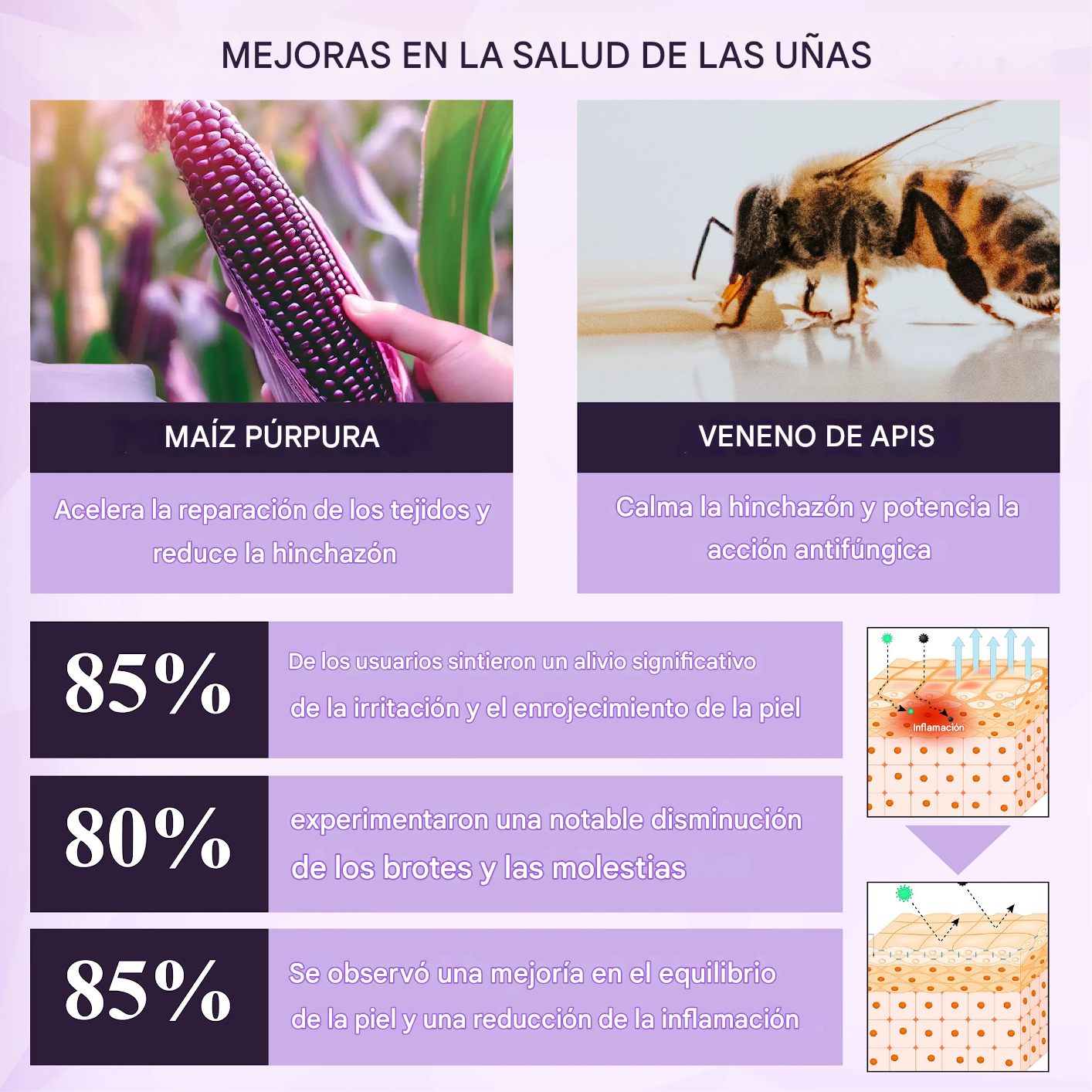Spray multiusos para la piel Fivfivgo® de maíz morado